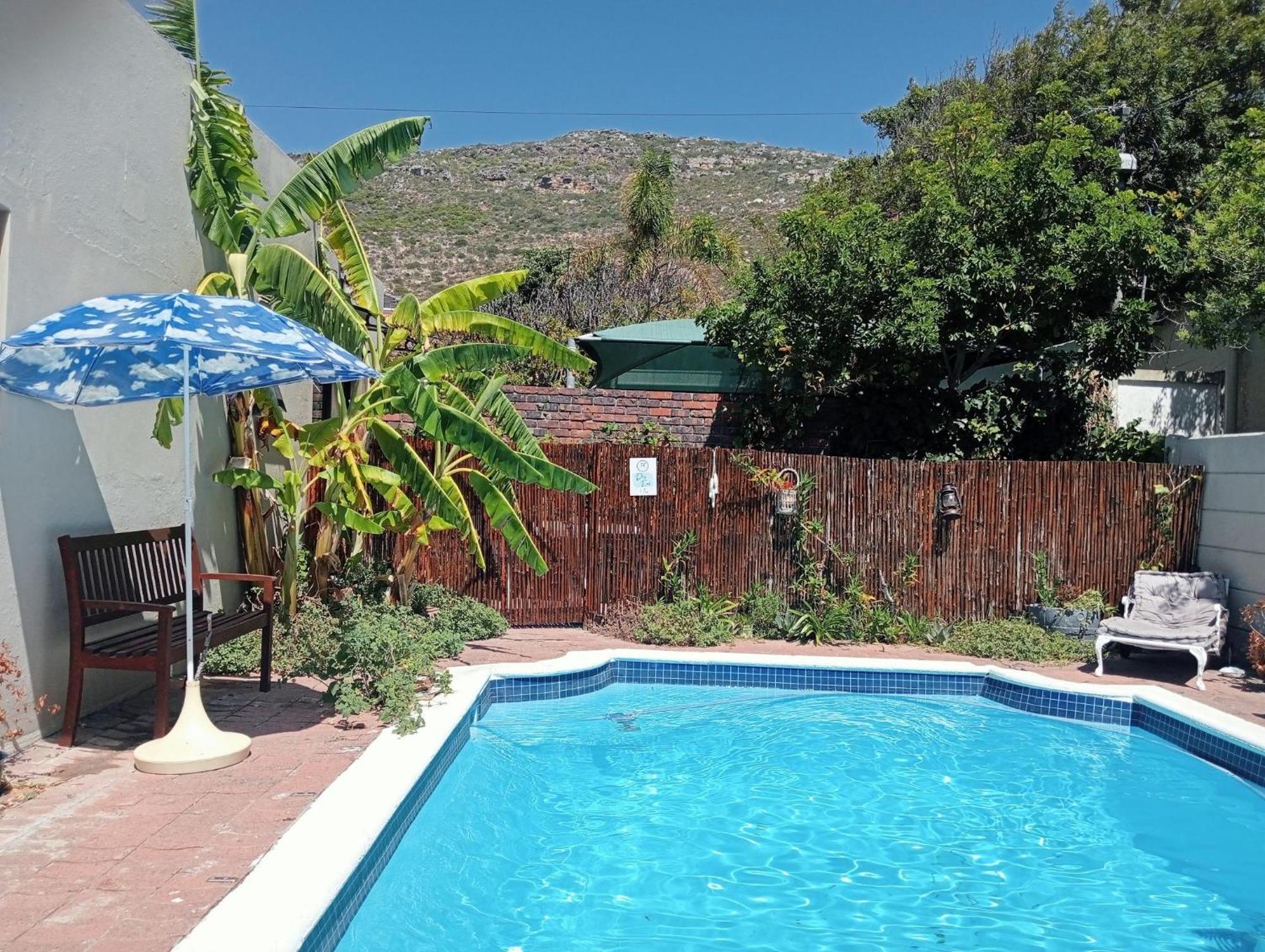 The Pool *